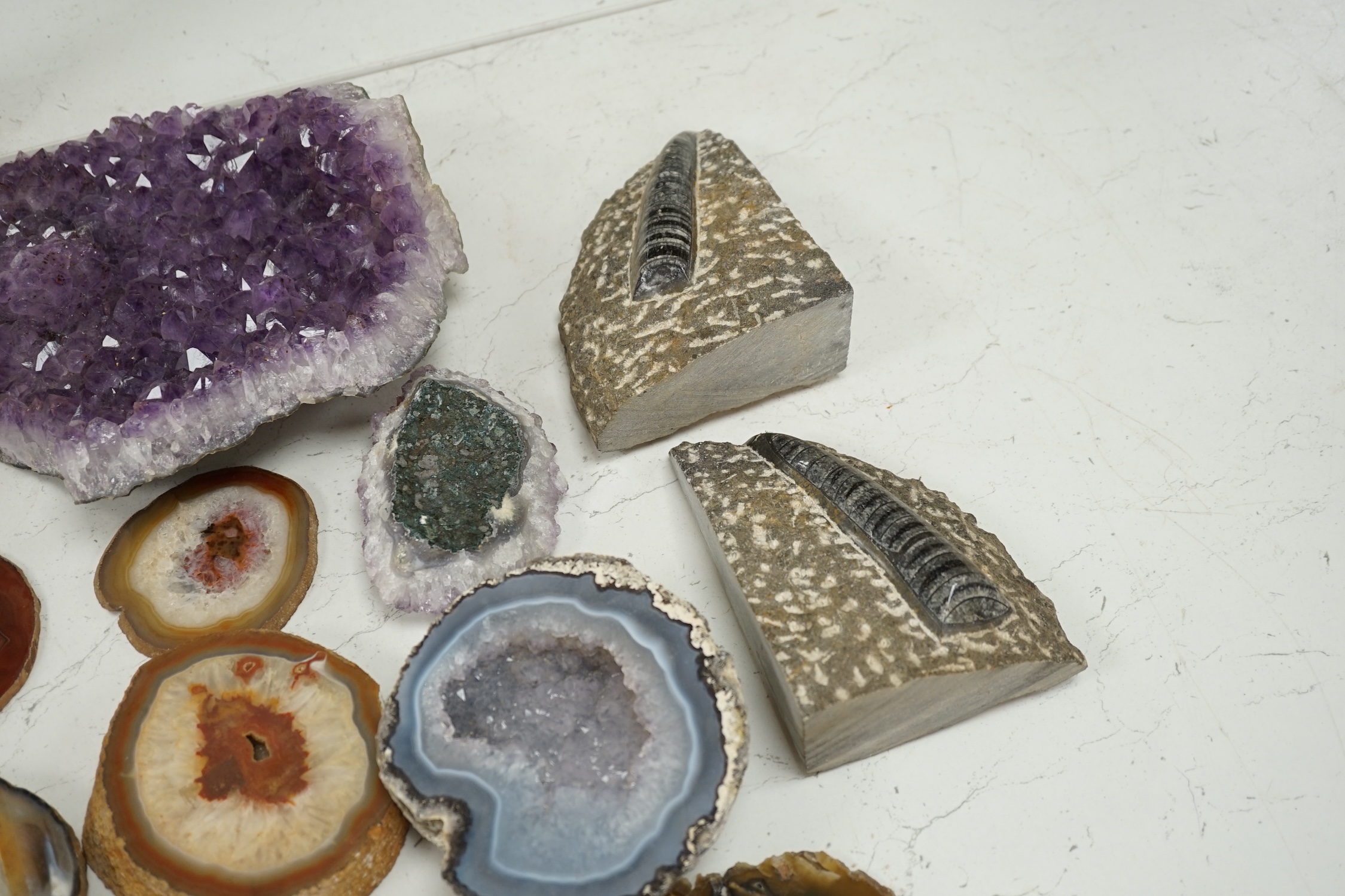 A group of mineral and fossil specimens, largest amethyst 26.5cm wide. Condition - good